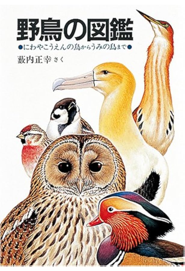 ペーパーバック版 薮内正幸 日本の野鳥セット 全6冊 (福音館の科学